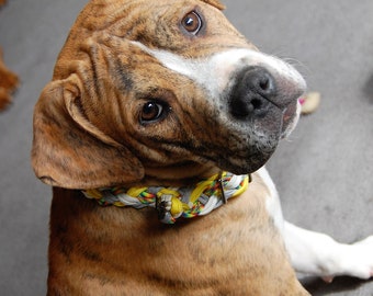 Adjustable Dog Collar and Leash Set