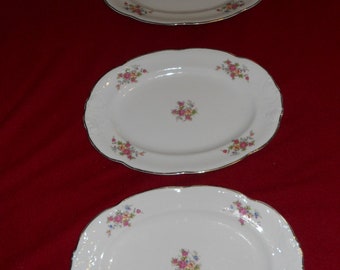 Walbrych China-Sherton Oval Serving Platters-Set of 3