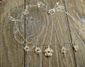 Rattlesnake Vertebrae Necklace