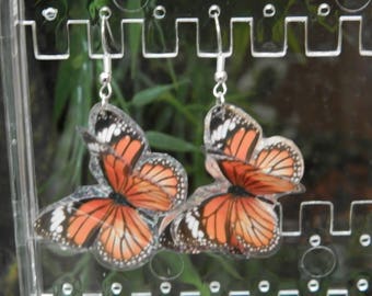The flight of butterflies