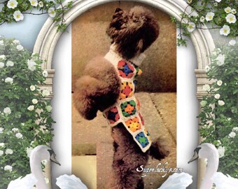 Vintage dog granny square rainbow dog coat crochet pattern in PDF instant download version , PDF downloadable