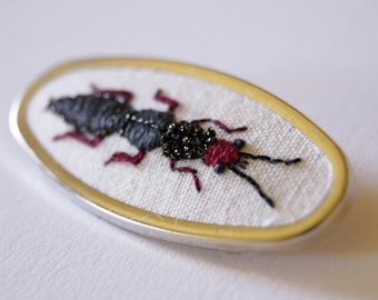 Embroidered Rove Beetle Brooch Staphylinidae Entomology Natural History Wildlife Art Hand Embroidery Insect Jewelry Nature Lover Gift