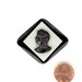 RARE Vintage 3 Layered Raised Relief Jet & Ivory Fine Glass Cameo Flat Back Antique Cabochon 49mm Beautiful!