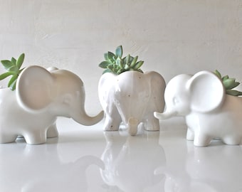 Ceramic elephant succulent planter-Mini elephant pot-Pottery Elephant Planter-Elephant cactus planter-white Elephant pot-elephant decor