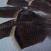 16 Wild Turkey feathers, Rio Grande Turkeys, Supplies, All natural, No dyes, Free roam, Western decor, Weddings, Floral Accents, Wreaths