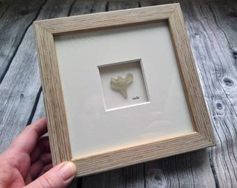 White Peace Dove 15 x 15 cm original Libellei pebble art