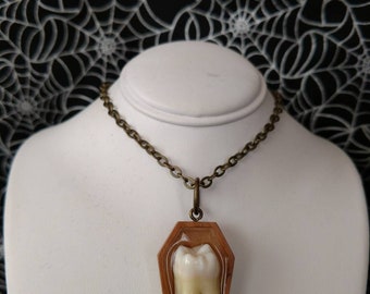 Real Human Tooth Wooden Coffin Pendant, 002