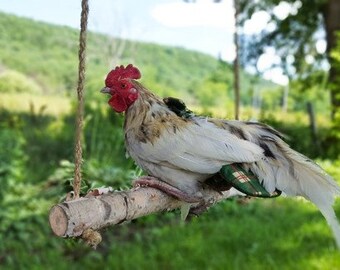 Chicken Hen Rooster Diaper made from recycled vintage fabric FREE SHIPPING
