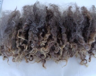 20g (56.00 Euro/100g), 0.7oz wensleydale locks, gray brown, wool curls, felting wool, wool locks, dolls hair, wool hair, lot -F-, 100% wool