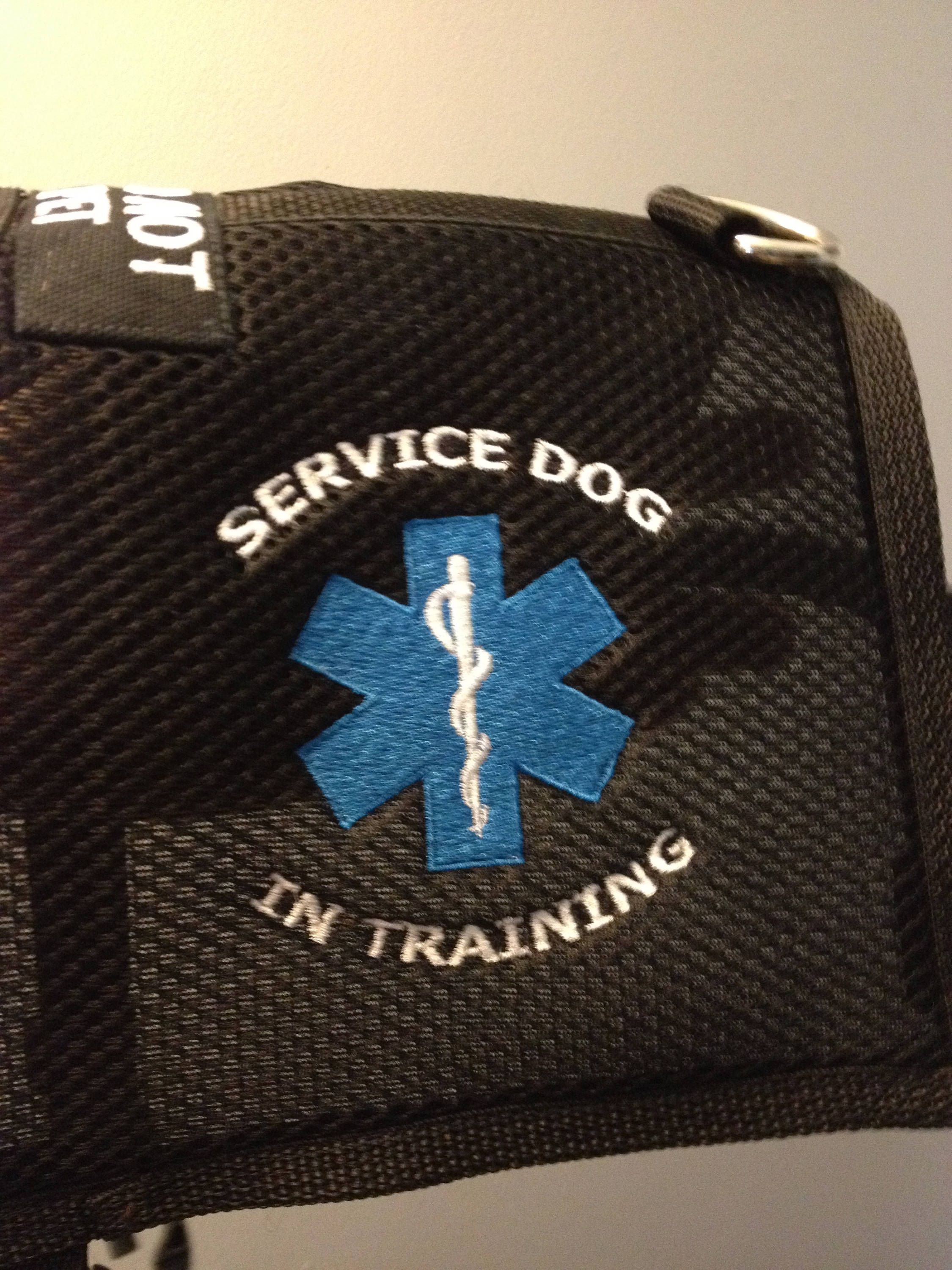 Cape style Handmade Service Dog in Training vest 3D Air Mesh