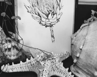 Original pencil drawing