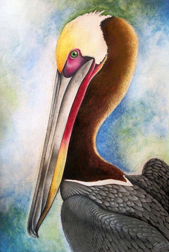 Original watercolor pelican painting fine art print 8 x 10