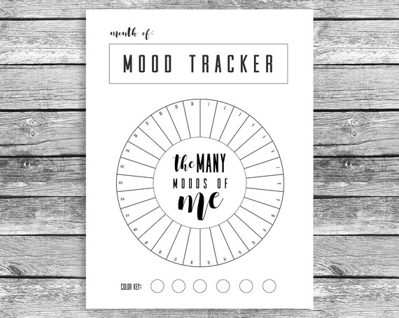 monthly mood tracker circle fits happy planner mini mood