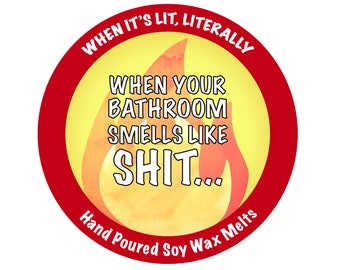 SOY WAX MELT, pick your scent, eco wick, novelty gift, funny, organic, essential oil, cruelty free, Wisconsin, lit