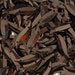 100 sequins METALLIC/KBIS195