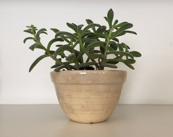Small Mixing Bowl Cream Off White Tan
