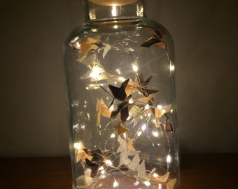 Origami butterfly Twinkle Jar - 1L