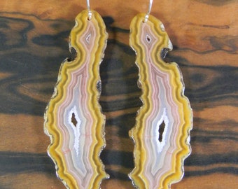 Agua Nueva Agate Earrings