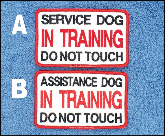 Don T Touch Service Dog In Training Don T Touch Service Dog In Training