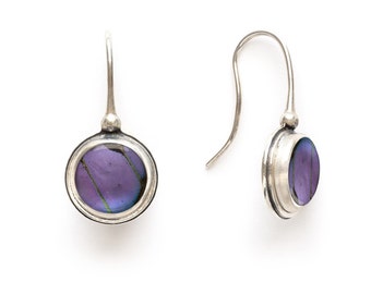 Real Butterfly Wing Earrings Jewelry Graphium weiskei