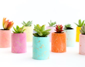 Gold Splatter Plaster Succulent Planters