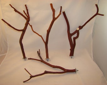 Manzanita Bird Perches Set of Four Multibranch with Hardware 13" to 15" long 1" to 1/4" diameter NICE