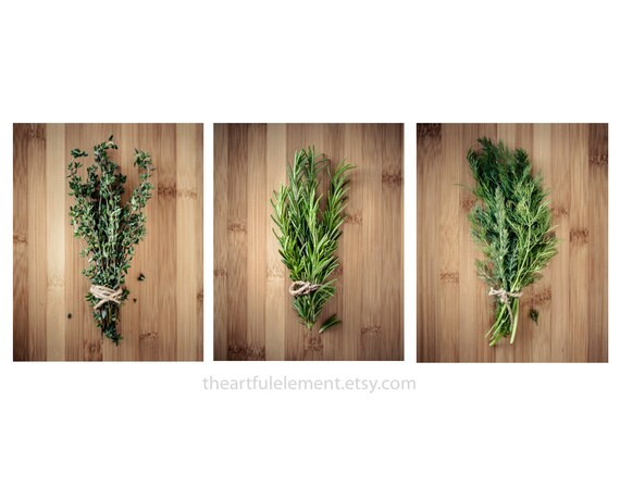 Kitchen decor, Herb prints, Cooking art, Large wall art set, Large Home décor, Set of 3 prints, Modern decor // Culinary Herbs photo set