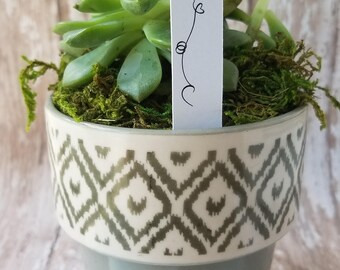 Monogram Succulent Stake, Succulent Stake, Wedding Favor Plant Tag, Flag Tag, Plant Stake, Wedding Favor, Baby Shower, Plant (S13)