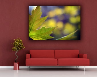 Green Leaf Photograph, Green & Yellow Photography, Spring Maple Leaf Photo Print, Horizontal Wall Art, Fine Art Nature Photography