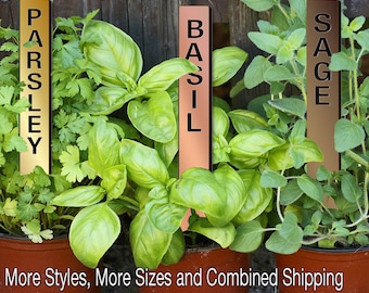 Straight-Up 12in Metalgraph Acrylic Herb Garden Stakes Plant Markers