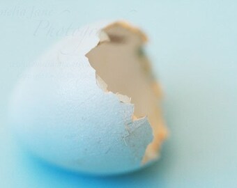 New Beginnings - Signed Fine Art Photography Print