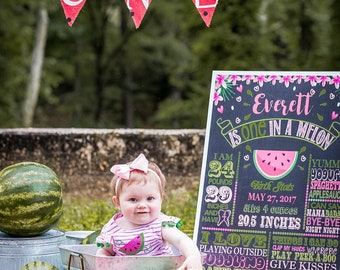 SALE Watermelon Birthday Chalkboard, One in a melon Chalkboard, Watermelon Party Sign, Summer Birthday day, Girls First birthday Chalkboard