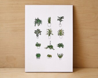 House Plants Limited Edition Print