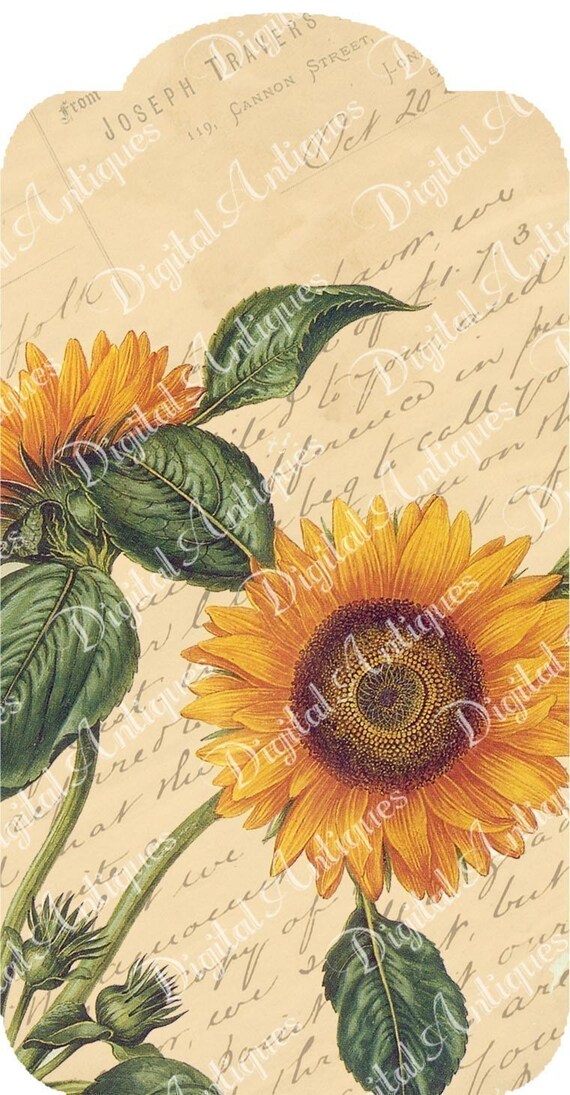 Vintage Sunflower Tags Printable Digital Download