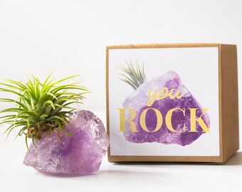 You Rock Thank You Gift, February Birthstone Friend Gift Coworker Gift Gold Dipped Amethyst Air Friend Cute Gift For Boyfriend Birthday Gift