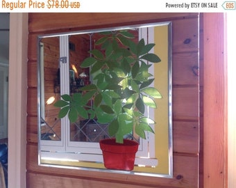 Summer Sale Academy Art Mirror Graphic Art Mirror Dimensional Art Mirror Plant Mirror