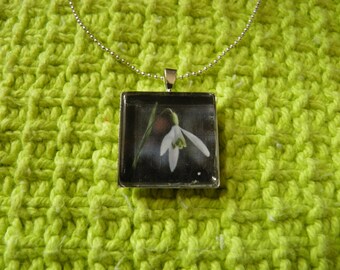 Square Glass Snowdrop Necklace