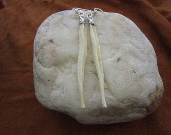 COYOTE PENIS Bone EARRINGS Dangle The Love Bone Boho Burning Man 1
