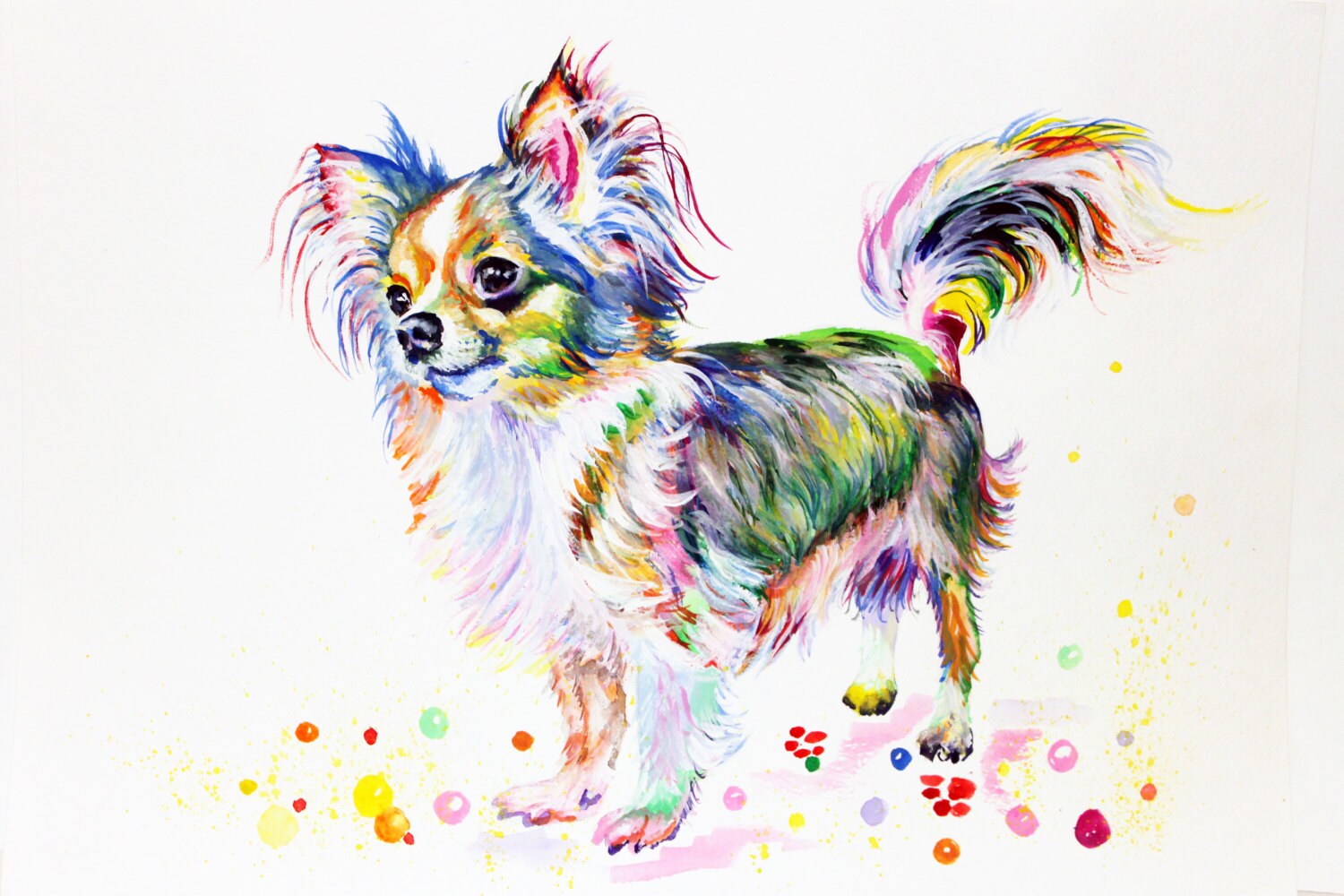 Cat Dog Cartoon I Ve Been Chosen Cat Dog Cartoon I Ve Been Chosen