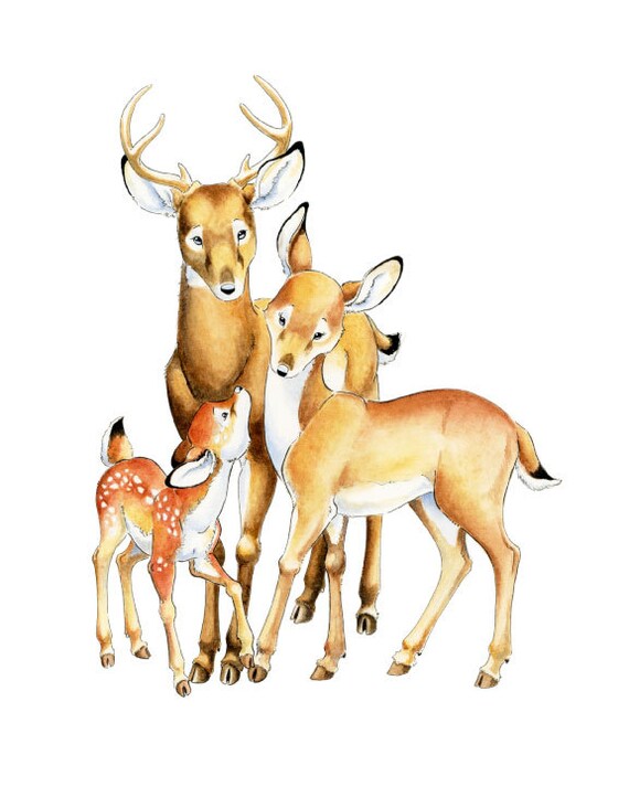 Watercolor Nursery Art Doe Fawn Buck Nursery Wall Art