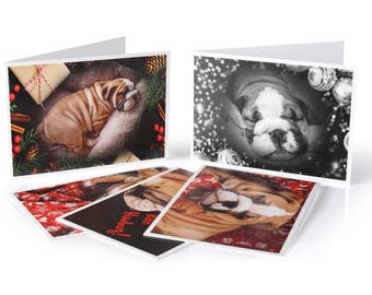 Set of 5 Limited Edition Bulldog Christmas Cards