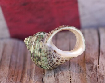 Little Mermaid Ring