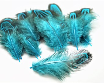 Lot of 10 natural pheasant feathers blue turquoise , 4-9 cm