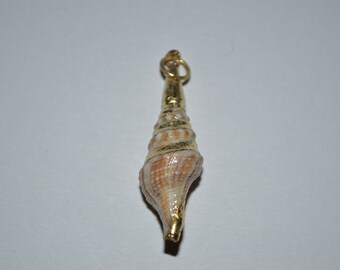 Vintage gold edged Spindle Sea Shells.