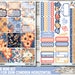 Amber EC HORIZONTAL Planner Stickers