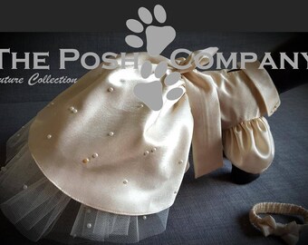 Doggy Wedding & Bridesmaid Dresses