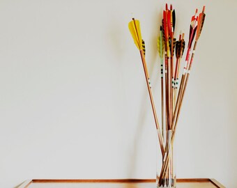 Set of Painted Wood Arrows - Set of 5