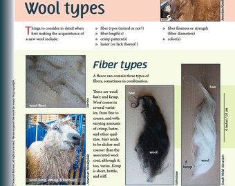 Deborah Robson's Guide to Fiber: Wool Types