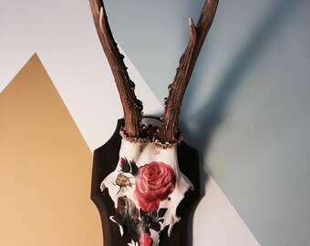 Decorated Deer Skull with Antlers