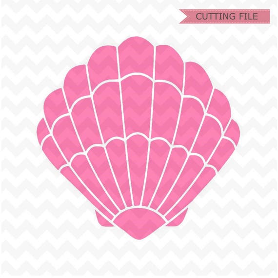 Download Sea shell SVG instant doenload, Seashell vector file ...